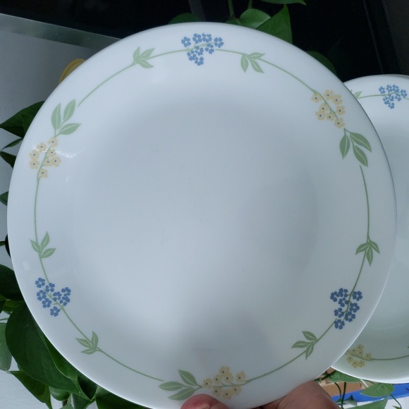 Corelle dinner plates 10 in - Picture 2 of 5